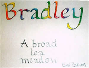 Bradley - a broad lea meadow