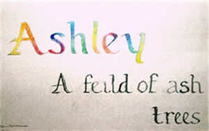Ashley, a field of ash trees