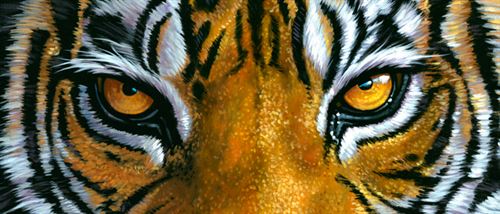 Tiger Eyes Logo